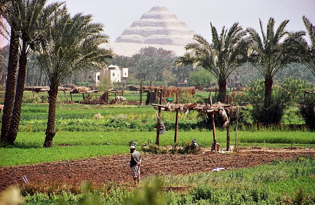 The stepped pyramid rises through haze beyond green fields, palm trees, simple farm structures and people working in the foreground.
