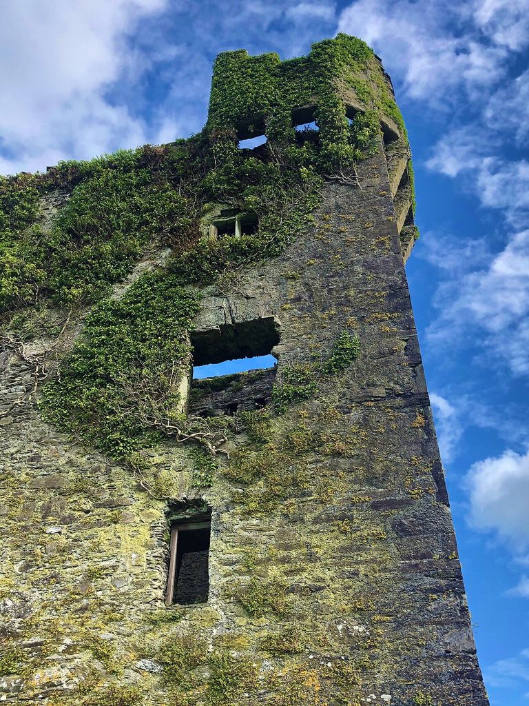 Togher Castle - Northwestern Machicolation, an architectural view.