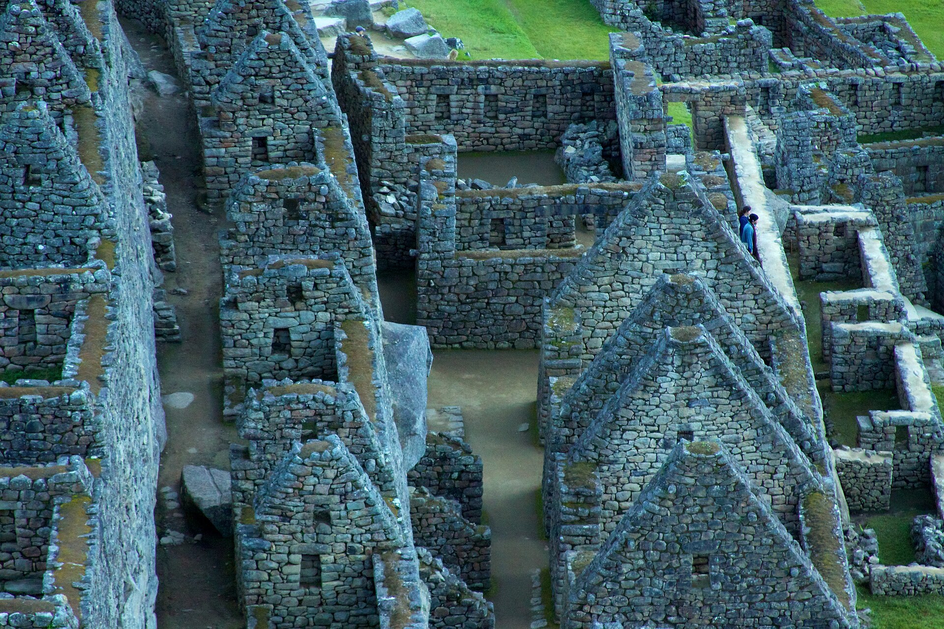 Dense rows of roofless residential stone walls on the Machu Picchu ridge, with stairs and a steep slope.