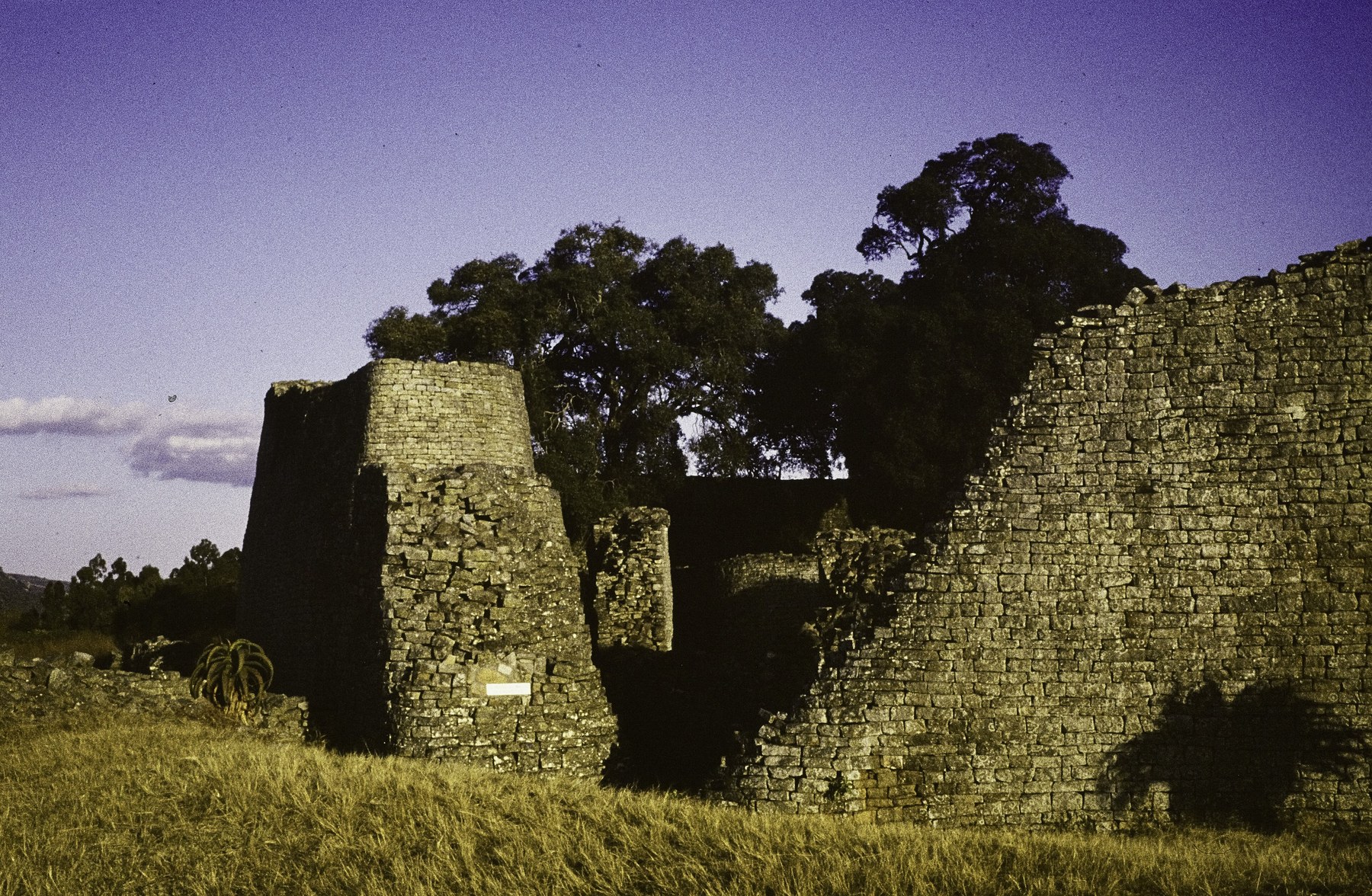 Massive curving dry-stone walls among grass and trees at the ruins of Great Zimbabwe.