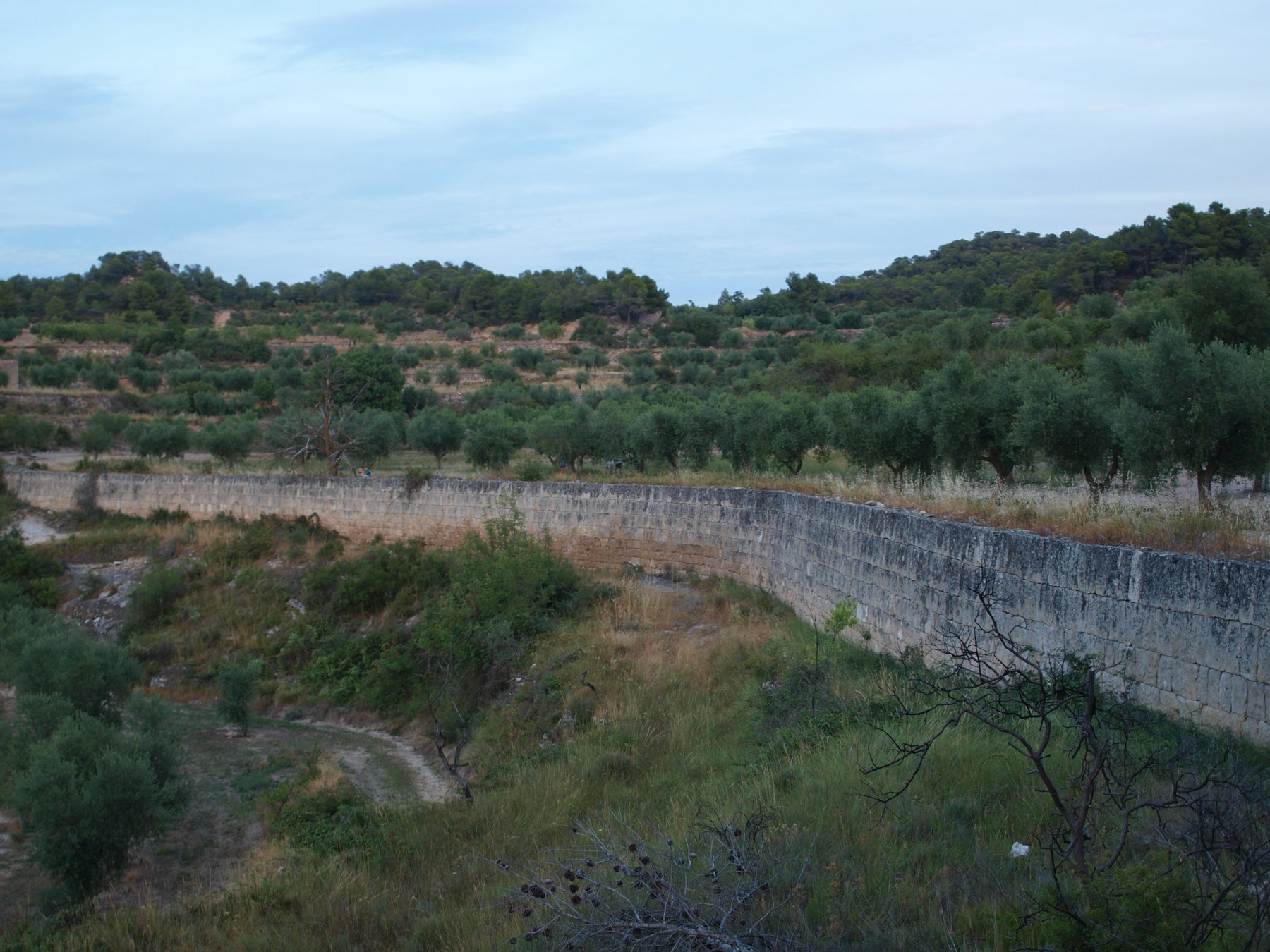 Long curving terrace wall of coursed squared stone below an olive grove at Vinaixa.