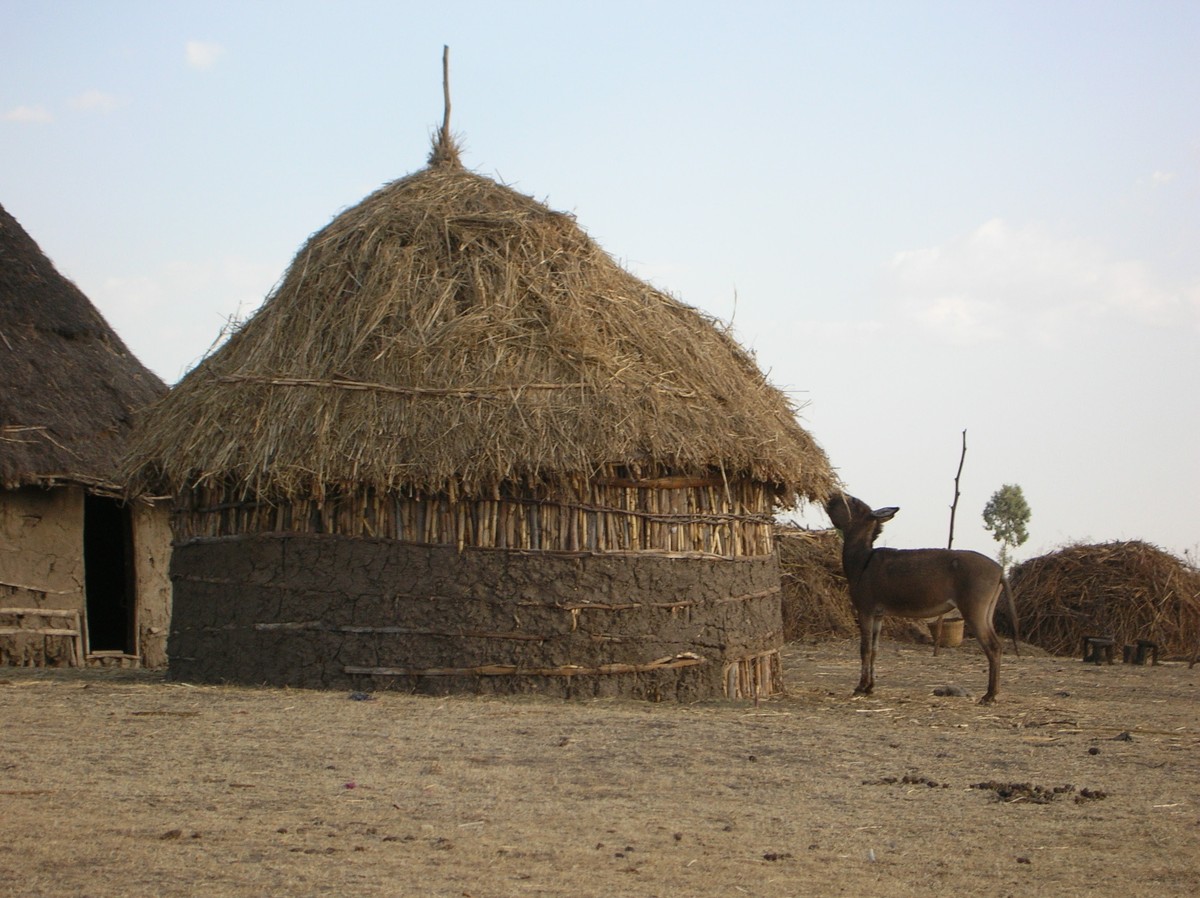 A thatched circular student-built structure in Ropi, with exposed upper organic supports and partly applied earth below.