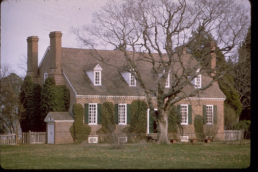 A brick house with a steep roof, dormers and tall chimneys stands behind a bare tree and ivy.