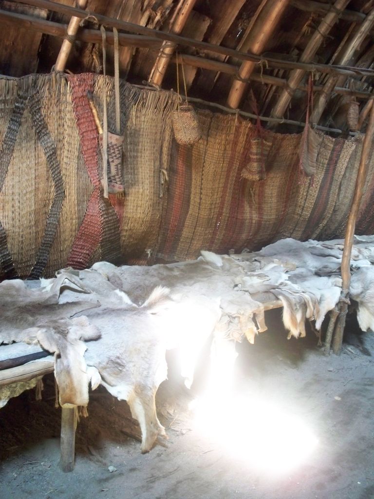 Inside a rounded shelter, bent saplings and lashings support woven wall mats above raised platforms covered with hides.