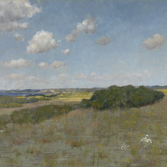 Sunlight and Shadow, Shinnecock Hills