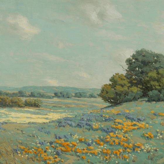 California Poppy Field