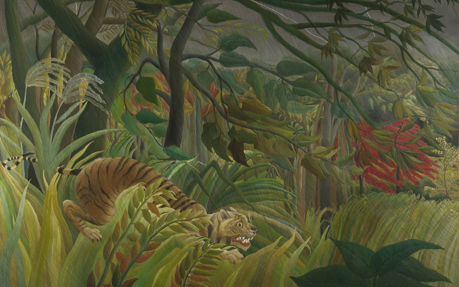 Surprised by Henri Rousseau