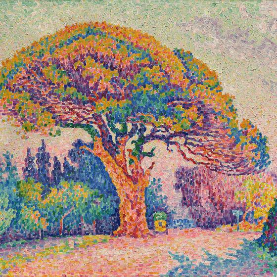 The Pine at Saint-Tropez