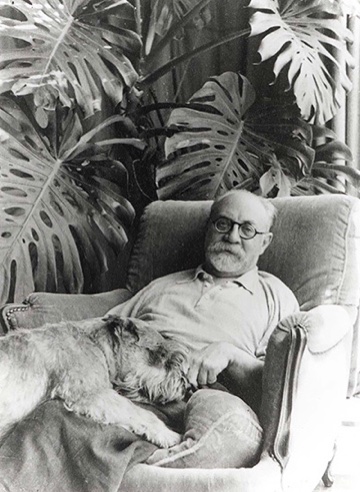 20th Century artists, represented by Henri Matisse