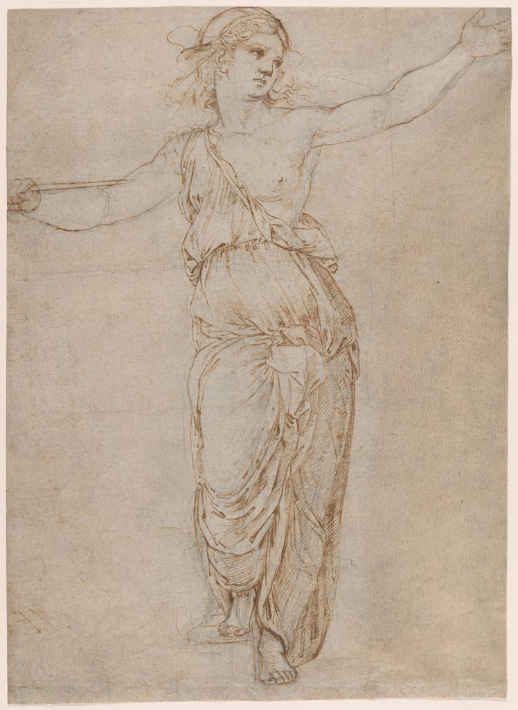 Raphael contour study