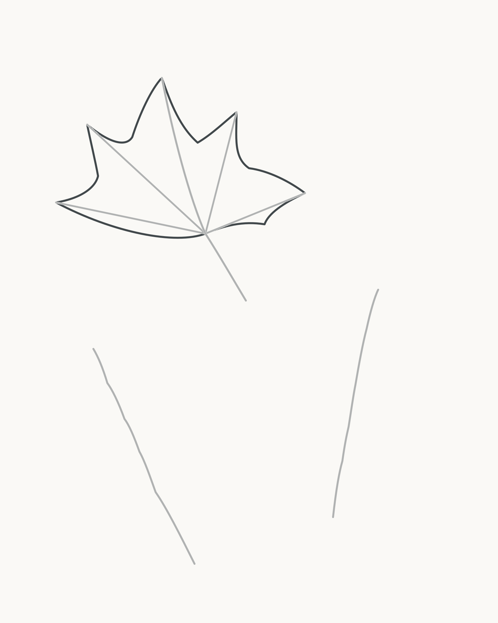 Stage 3 autumn leaf study adding one continuous five-lobed maple-type outer edge around the vein fan
