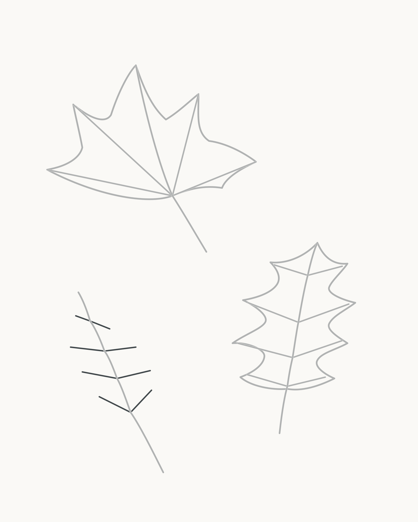 Stage 6 autumn leaf study adding four unequal vein pairs to the small lower-left birch framework