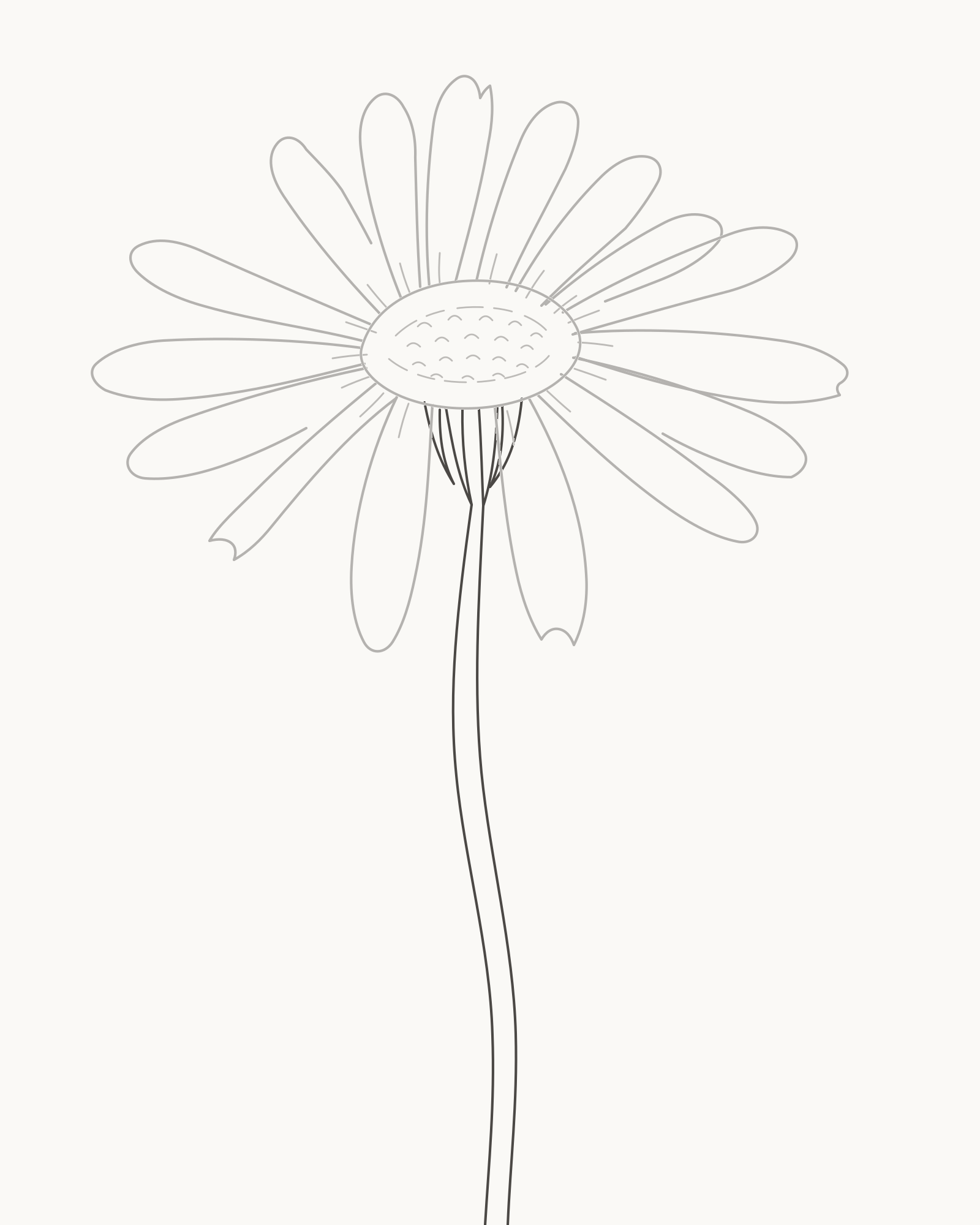 Stage 6 daisy drawing adding four compact bracts and two edges of a reverse-S curved stem