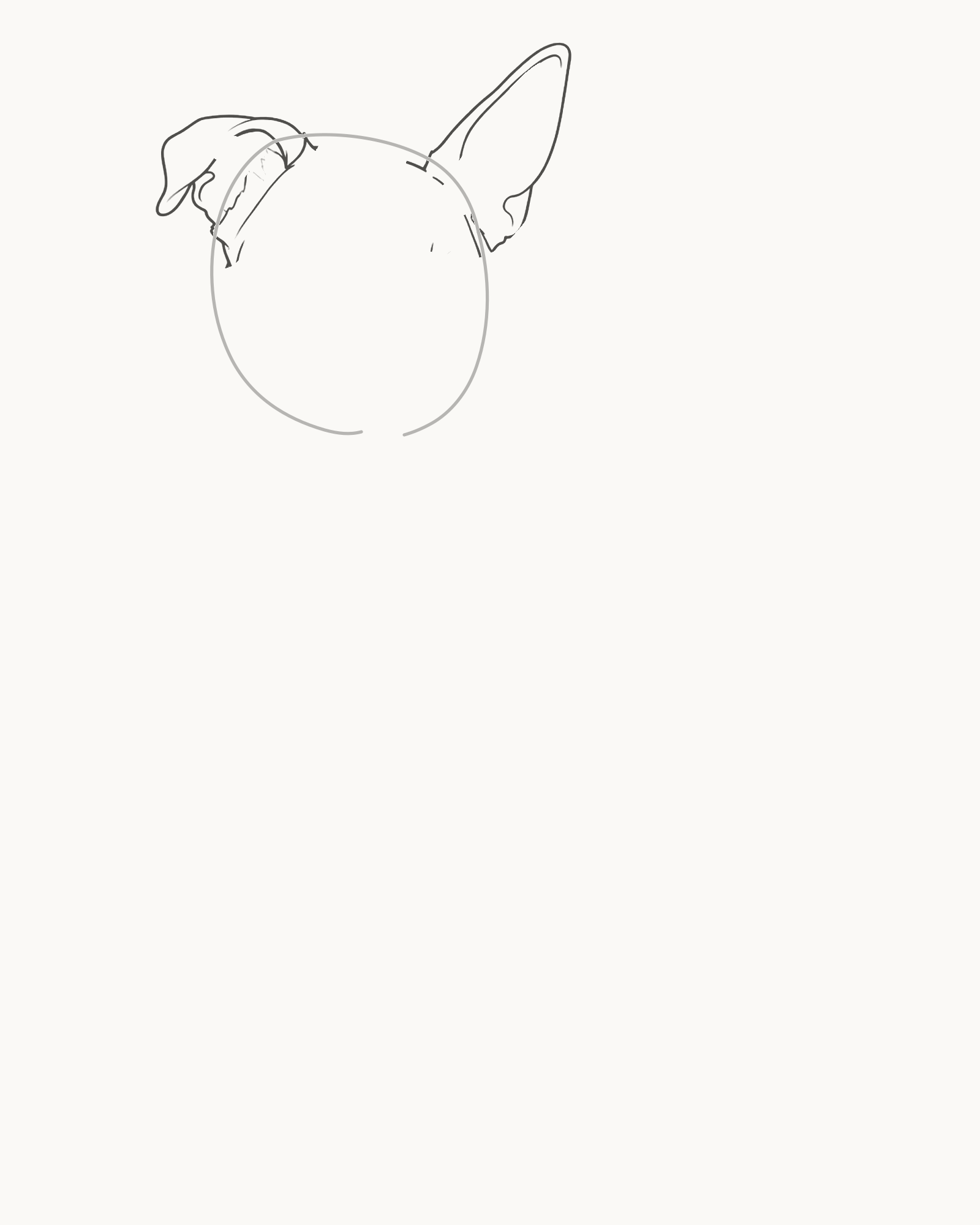 Stage 2 dog drawing adding one folded ear and one upright ear behind the retained crown