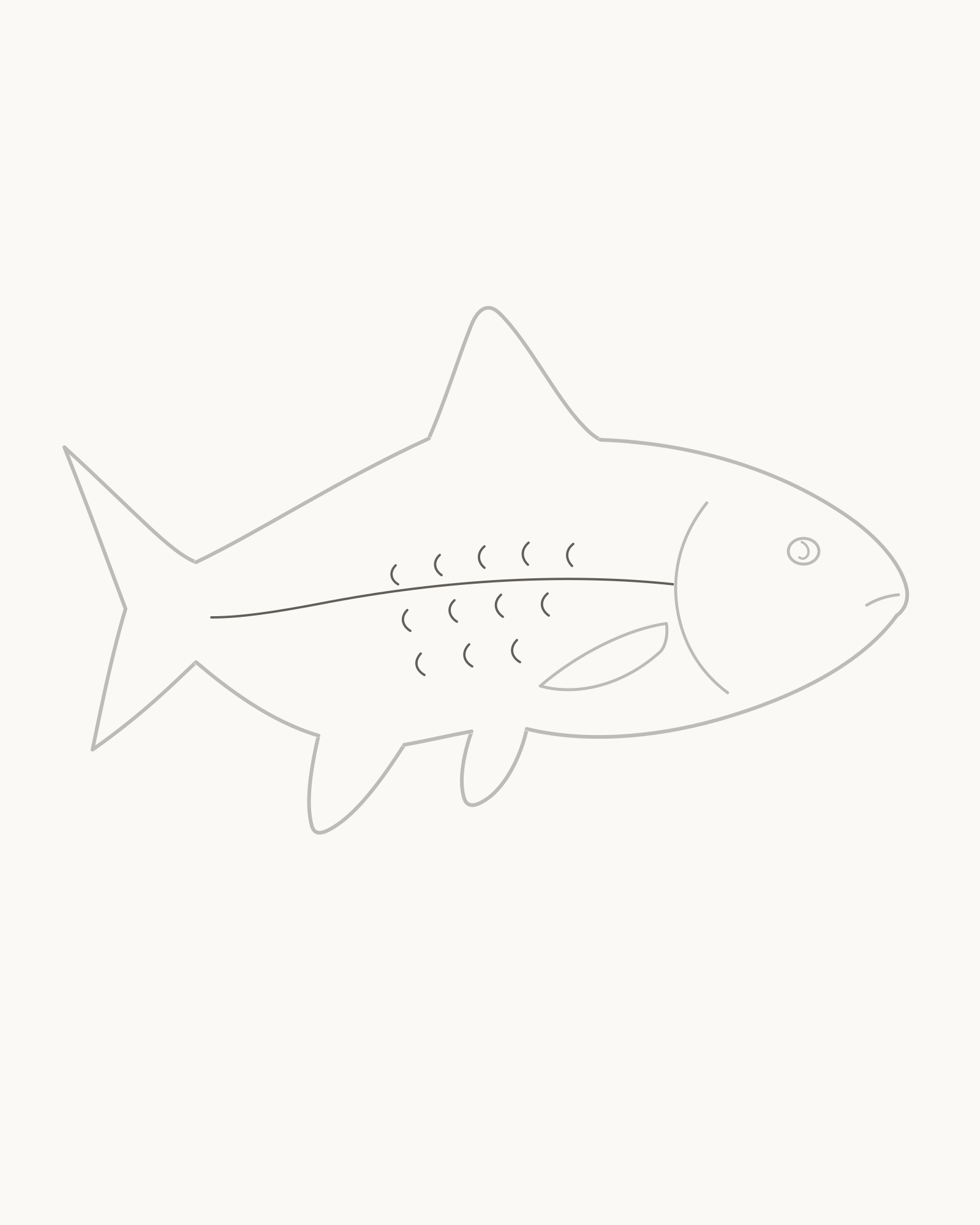 Stage 8 complete fish line drawing adding one taper-following lateral line and twelve sparse scale arcs in three staggered bands