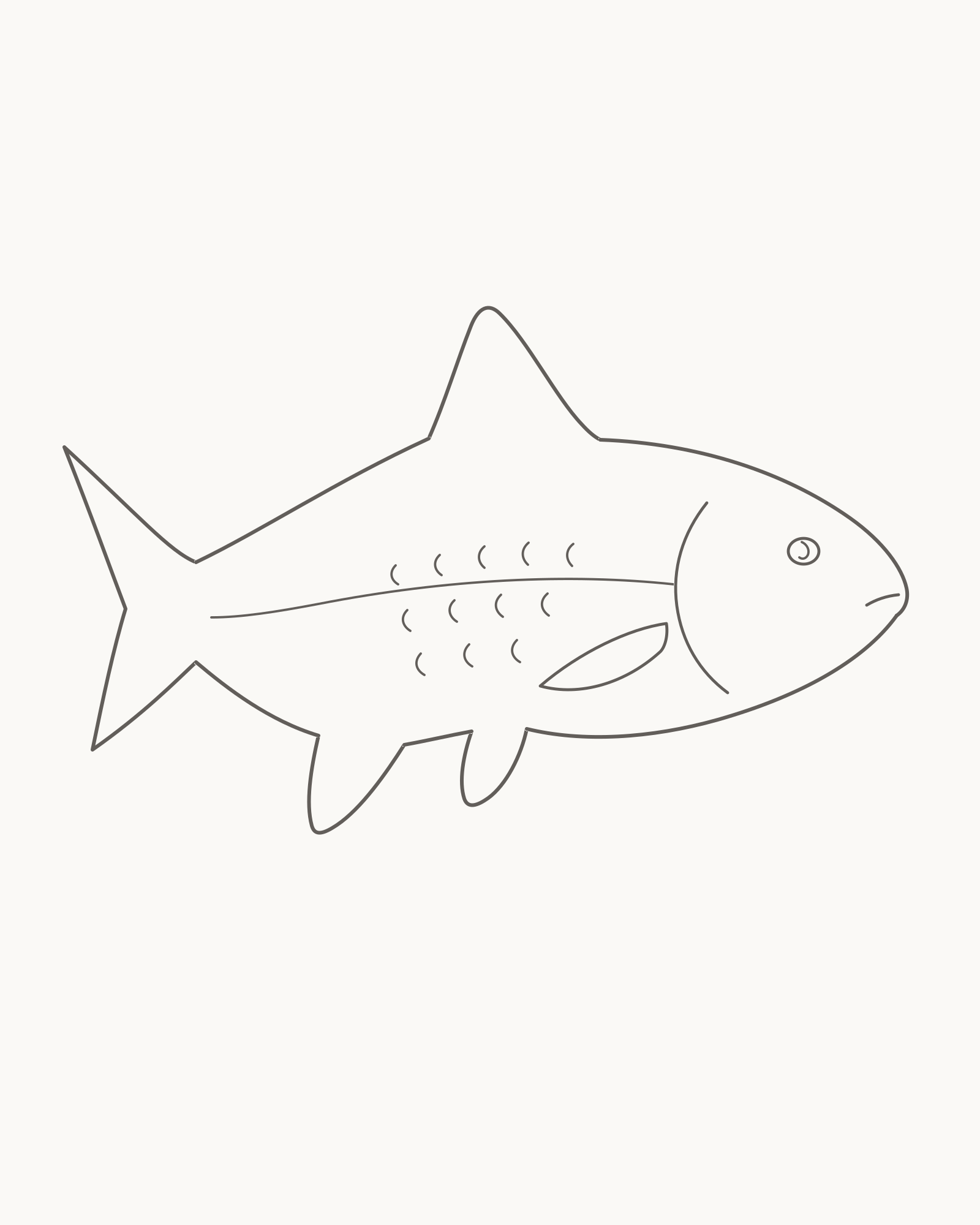 Complete line drawing of a natural generalised fish facing right with an unequal shallow-forked tail, four attached fins and sparse scale marks