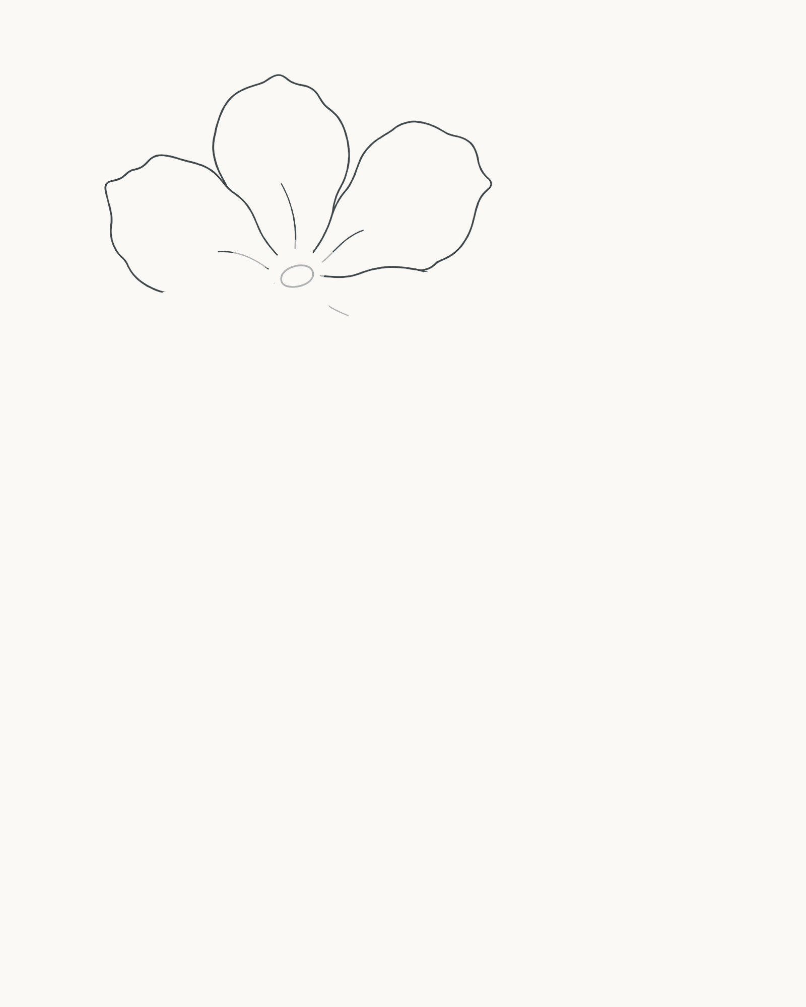 Stage 2 flower sprig adding three broad unequal rear petals above the preserved main centre