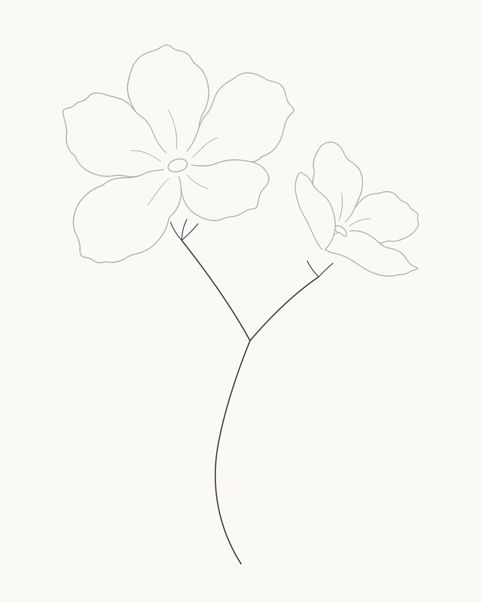 Stage 6 flower sprig adding one S-curve stem, a connected right branch and small supports beneath both blooms