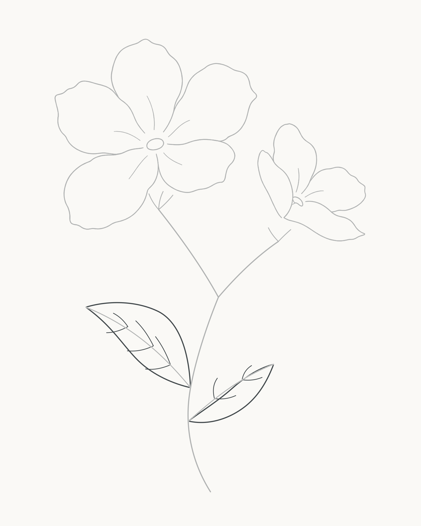 Stage 8 complete flower sprig with two unequal attached leaves, three vein pairs on the left and two on the right