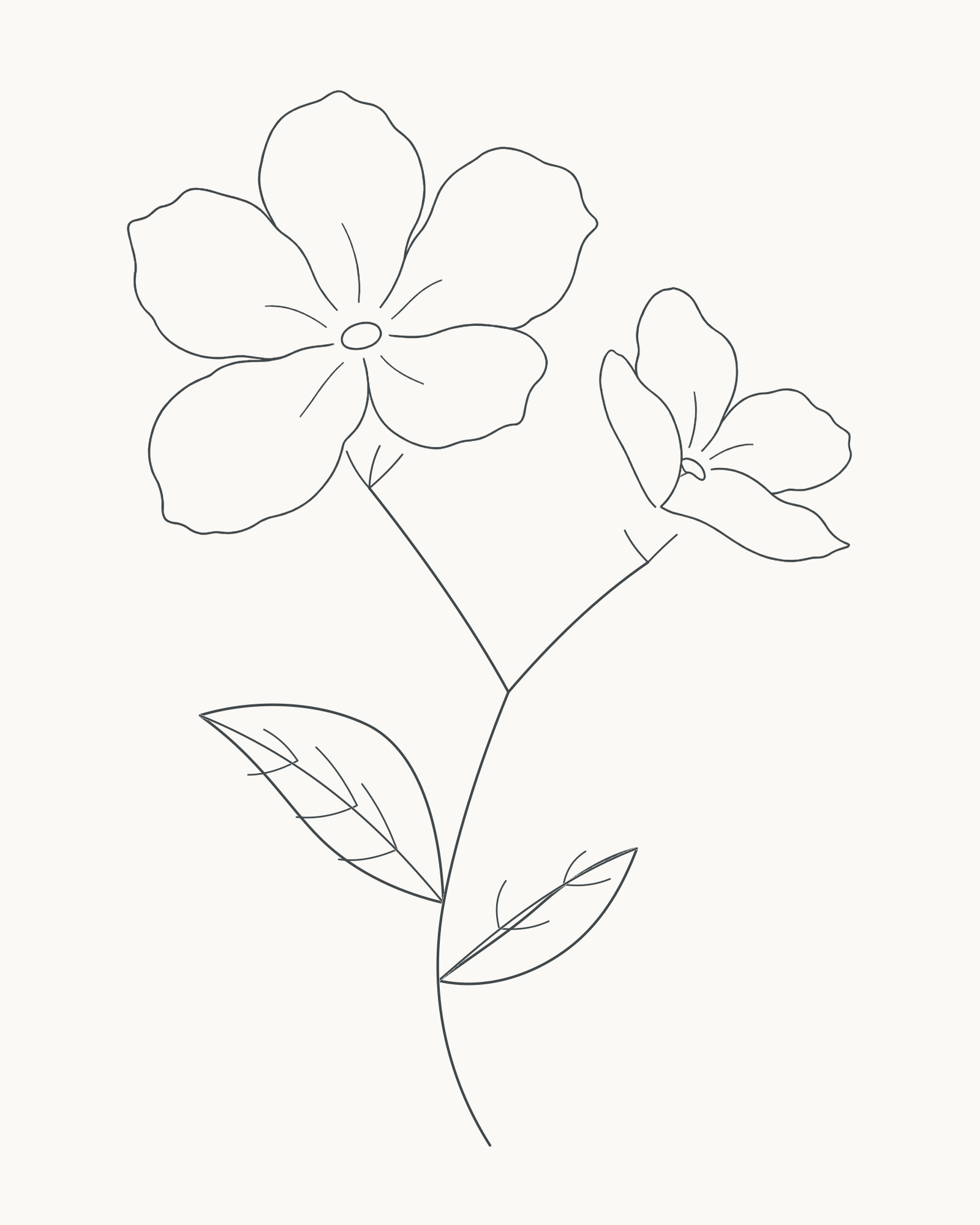 Complete pencil-line flowering sprig with one open five-petal bloom, one smaller turned bloom, an S-curve stem and two unequal leaves