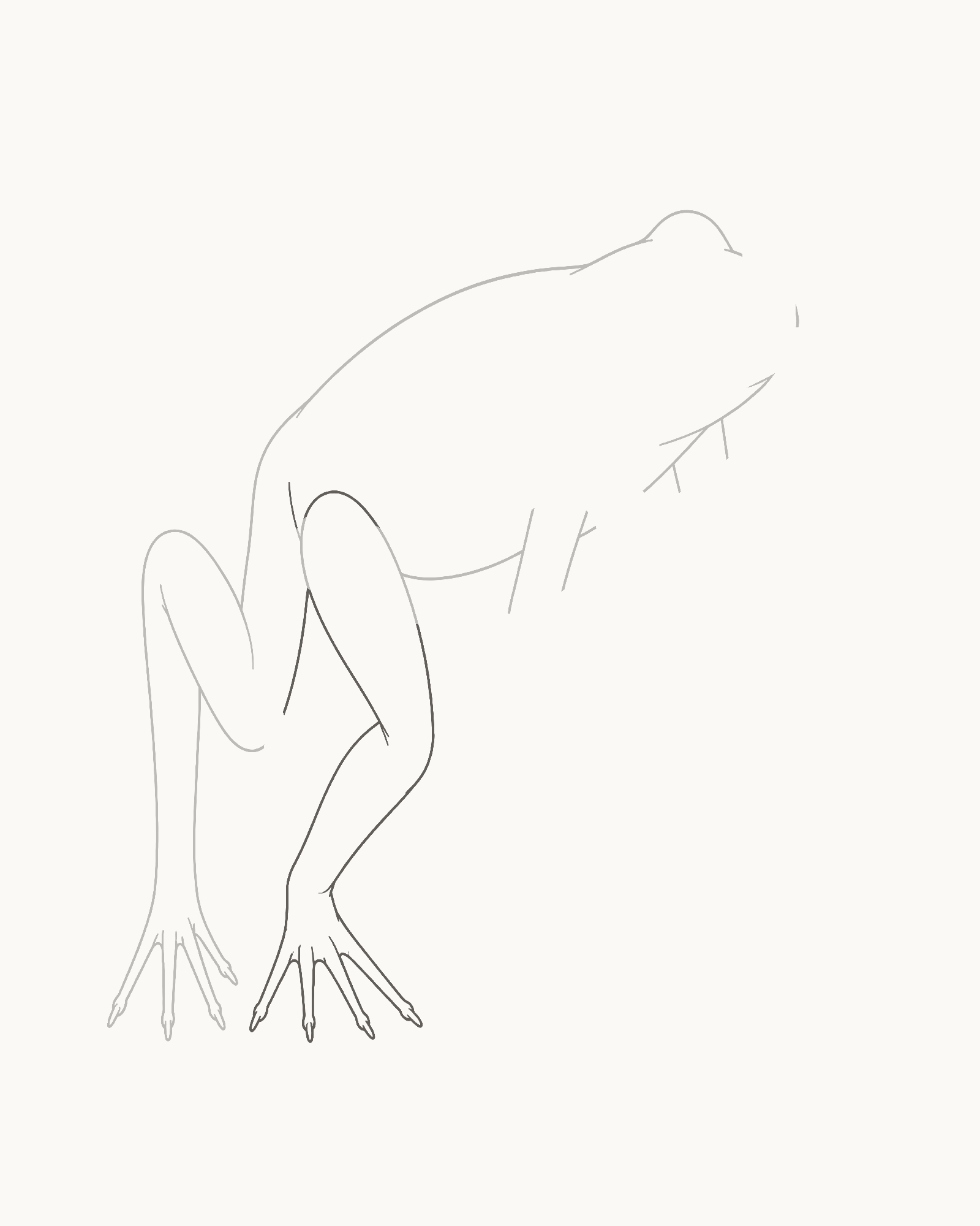 Stage 4 frog drawing adding the larger folded near hind leg and a separate grounded foot with exactly five visible tapered digit tips