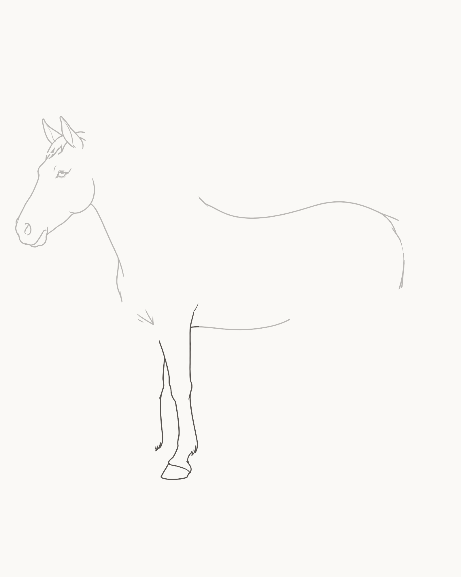 Stage 4 horse drawing adding one complete near foreleg from chest to a compact attached hoof through subtle joint direction changes