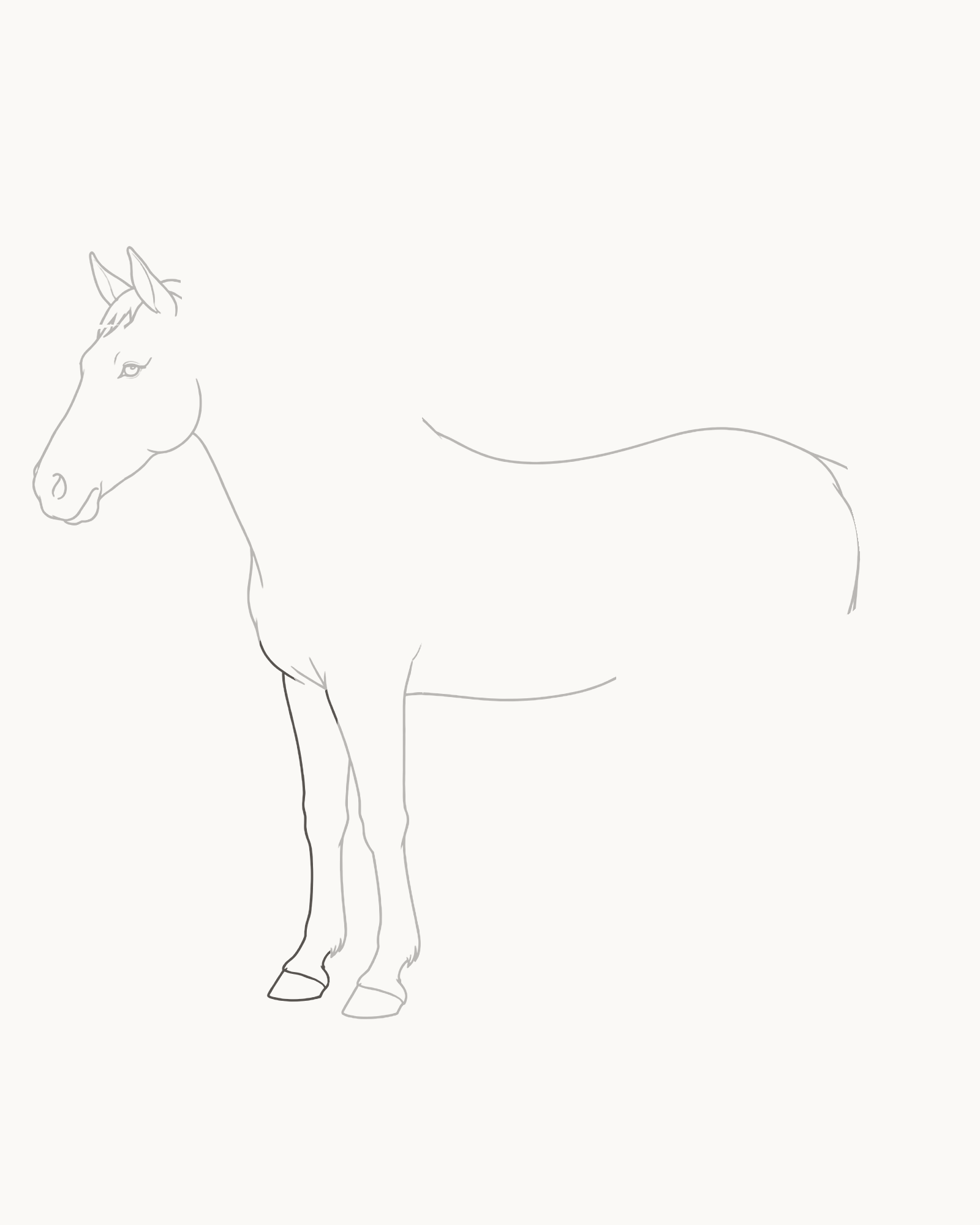 Stage 5 horse drawing adding a narrower partly hidden far foreleg slightly left of the first with its own smaller higher hoof