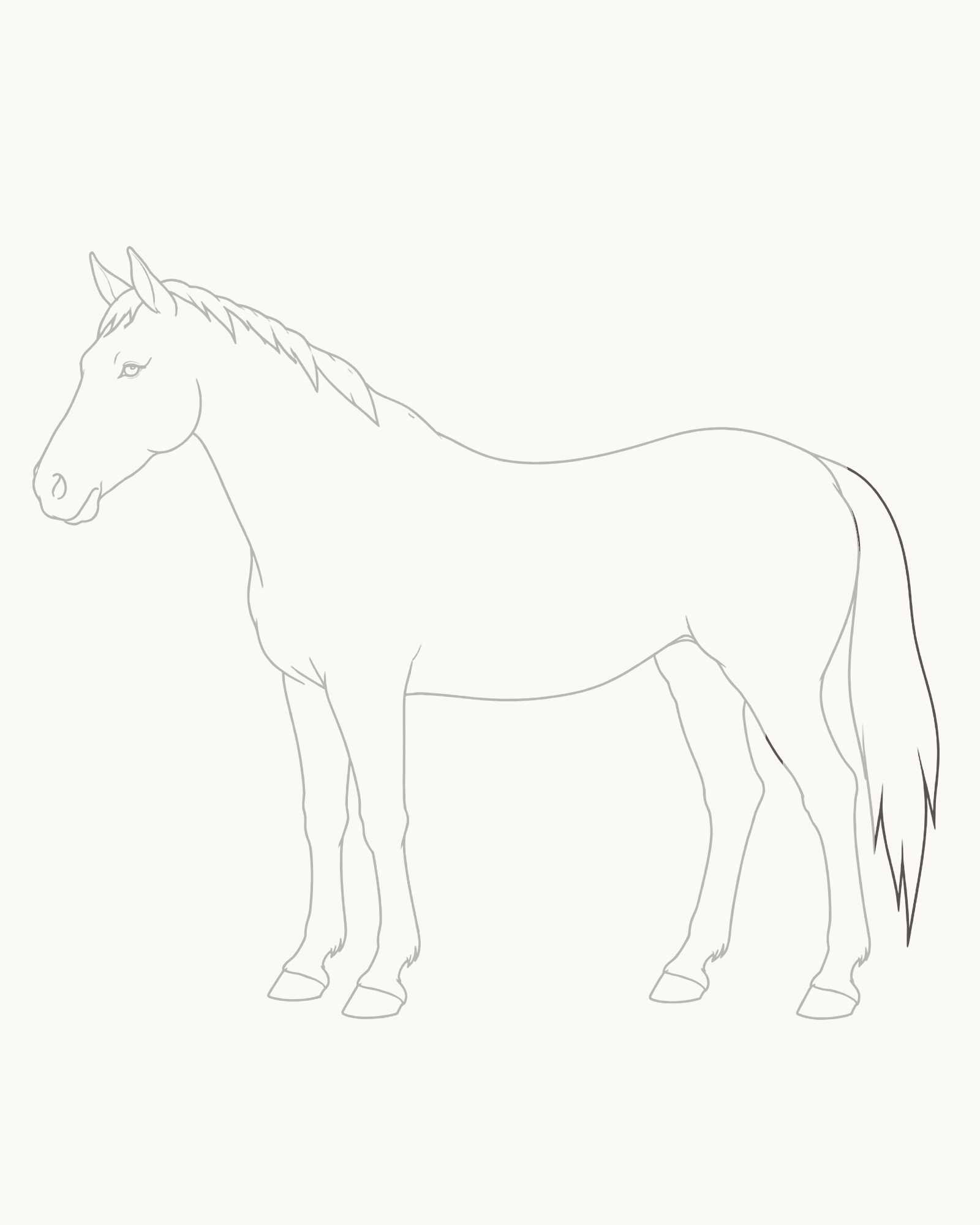 Stage 9 complete horse line drawing adding a tail from the hidden rump root with converging edges, six unequal tuft locks and three internal accents