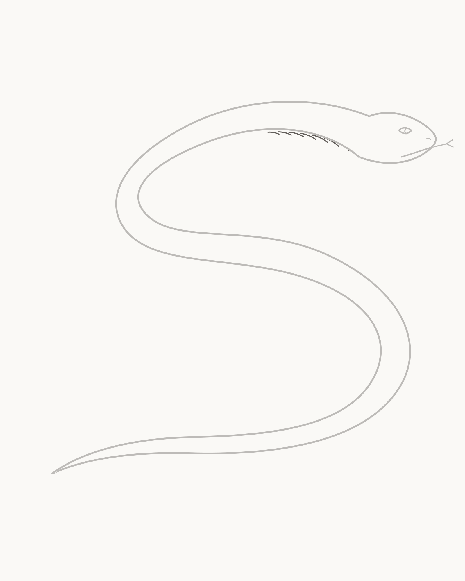 Stage 6 snake drawing adding exactly seven unequal curved underside bands inside the first turn without touching the outline