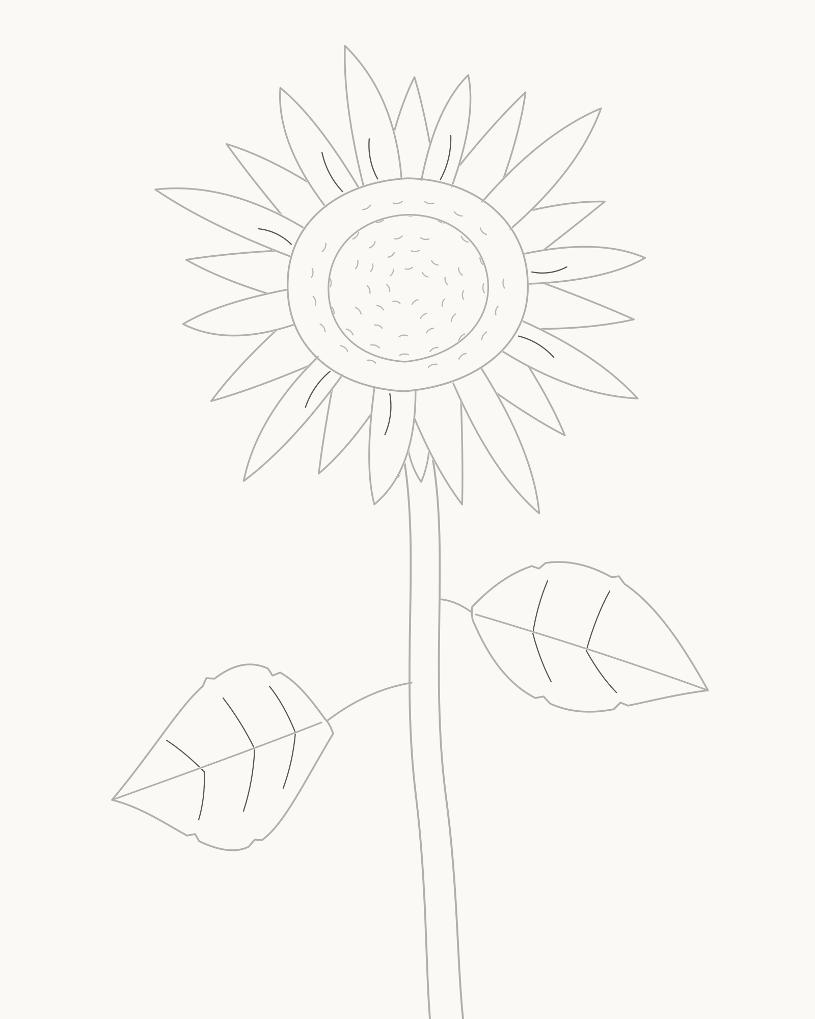 Stage 8 complete sunflower line drawing with eight ray folds and countable secondary leaf veins