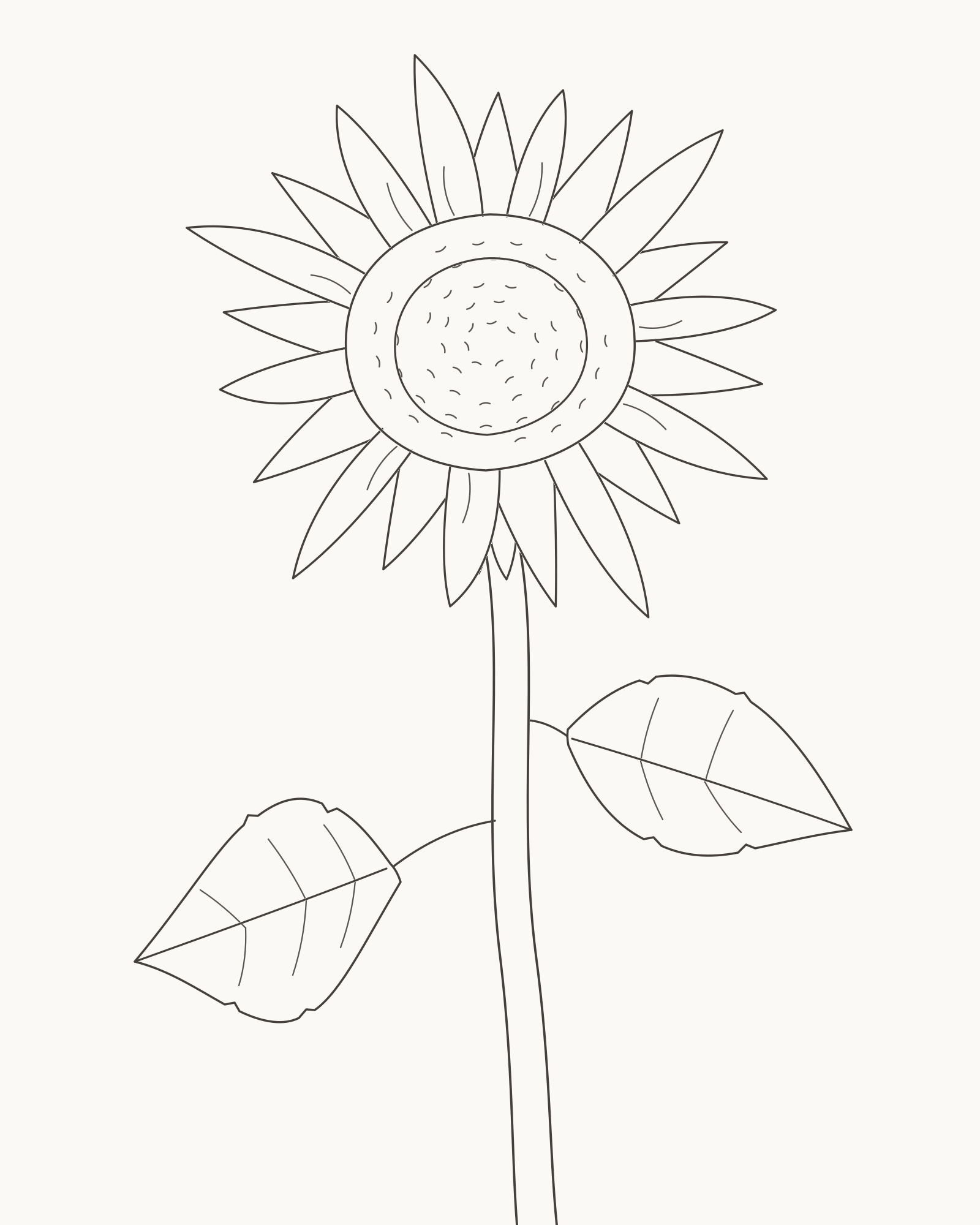 Complete pencil-line sunflower with layered rays, a textured disc, sturdy curved stem and two unequal broad leaves