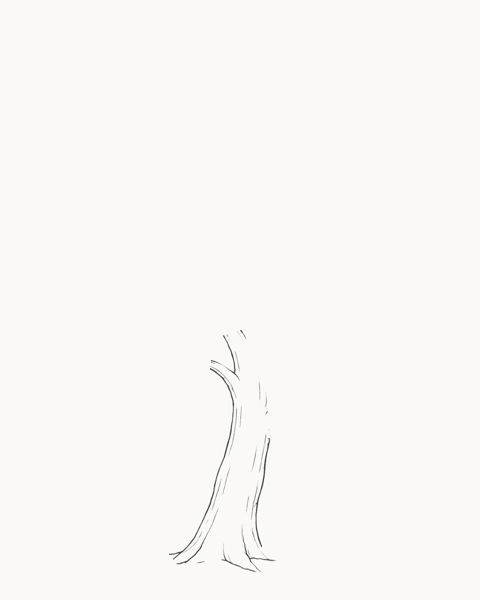 Stage 1 tree drawing with a tapered right-leaning trunk, three root toes and a few light inner direction lines