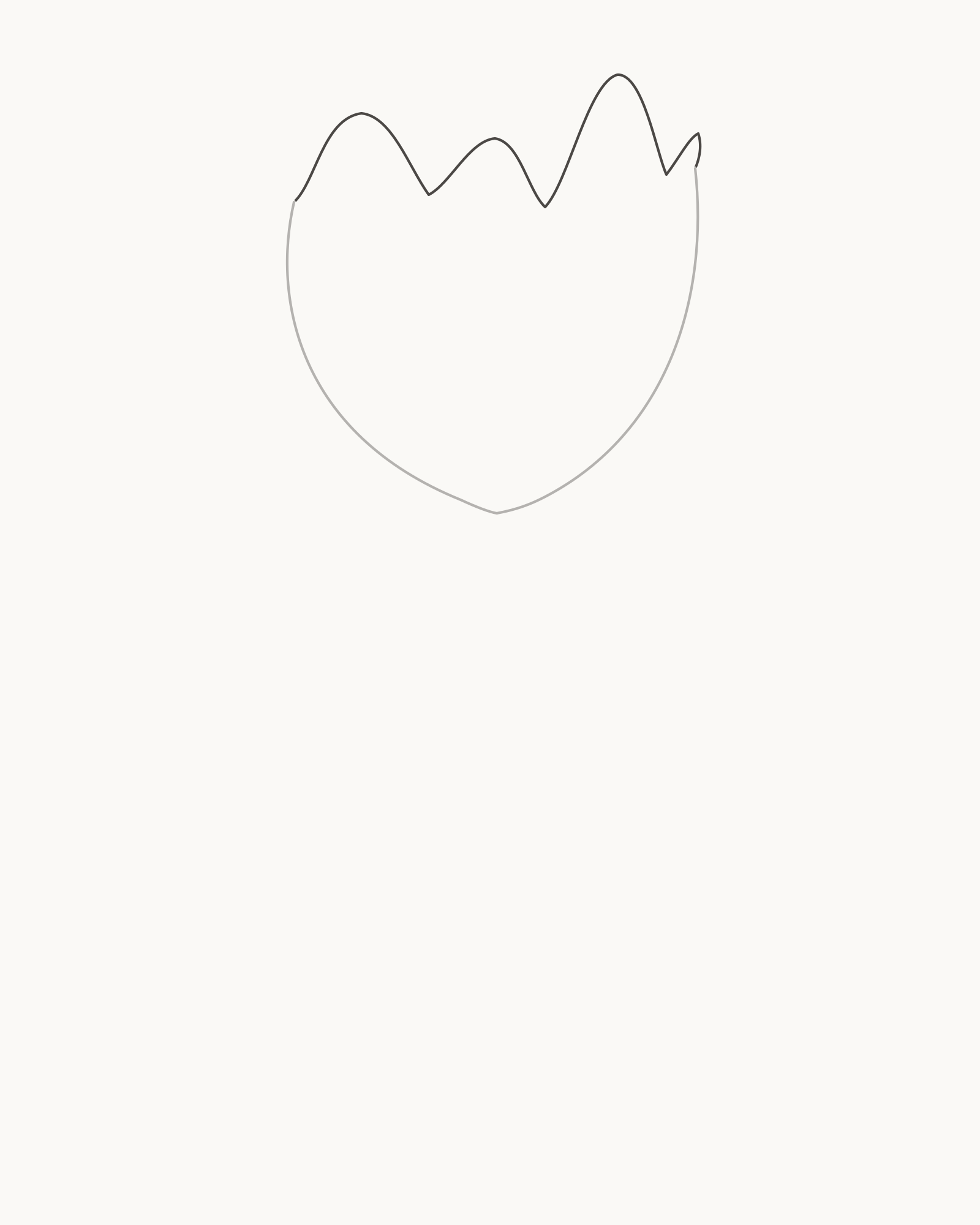 Stage 2 tulip drawing adding an irregular top rim with four unequal peaks and three unequal notches