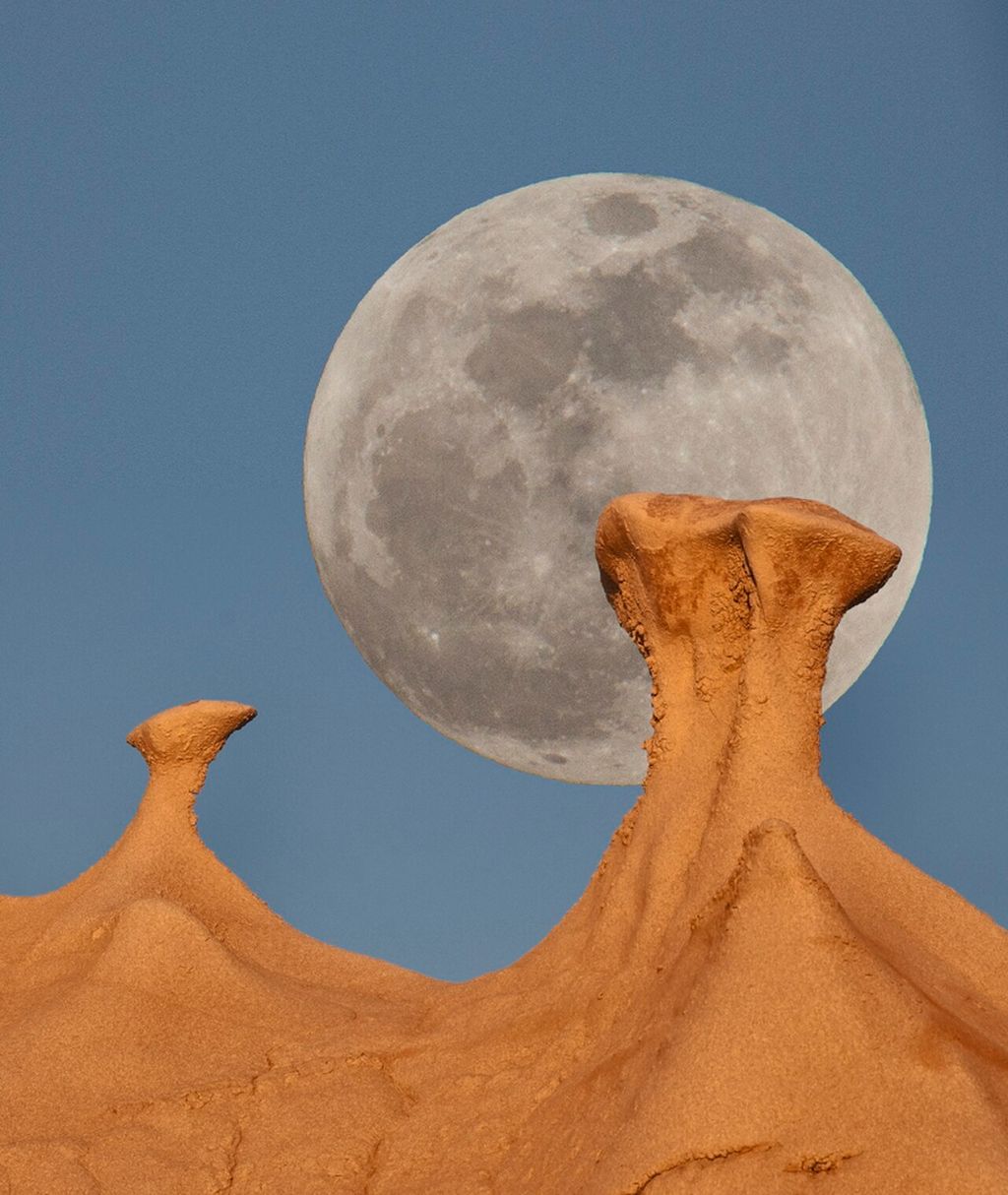 Photograph of Eroded formations in the Bisti Badlands.