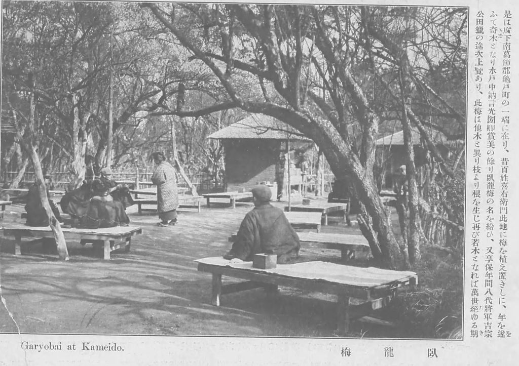 Historic photograph captioned Garyobai at Kameido: people sit under a spreading tree