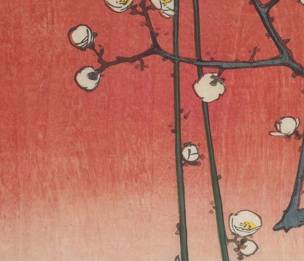 空と梅の花の拡大画像
