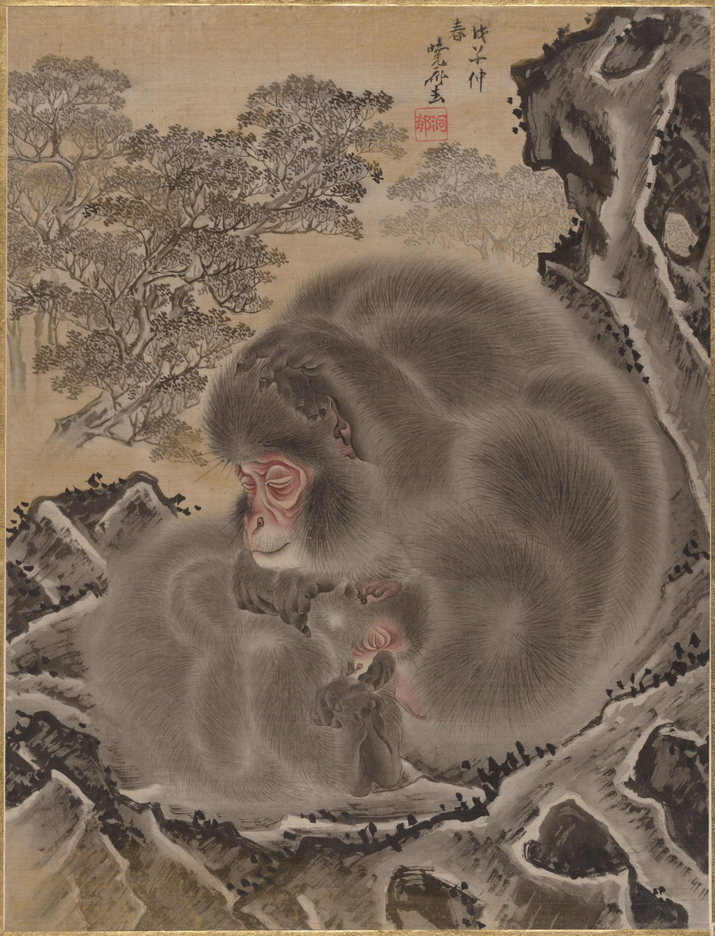 Monkeys