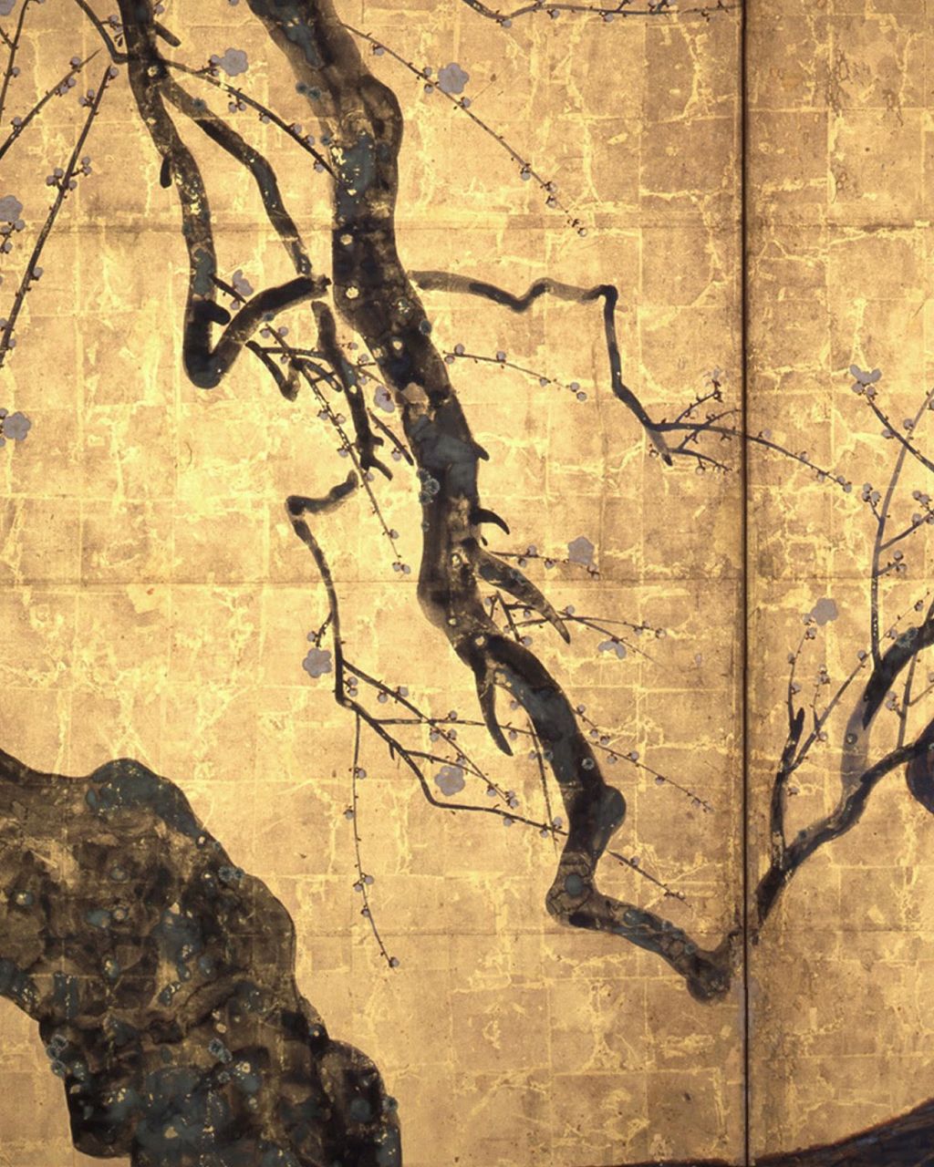 White plum: a tree beyond the frame