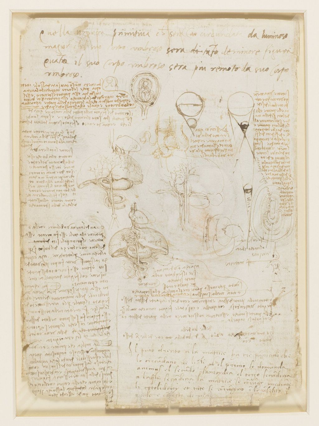 Notes on reproduction with sketches of a fetus in utero.