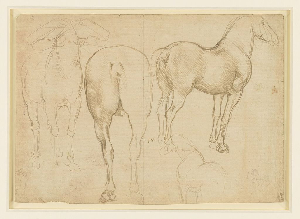 Studies of a horse.
