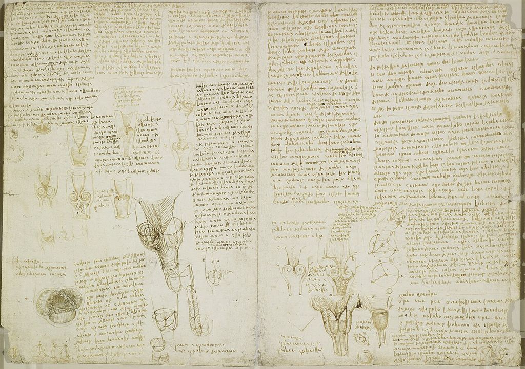Studies of nerves, muscles, the heart and optics.