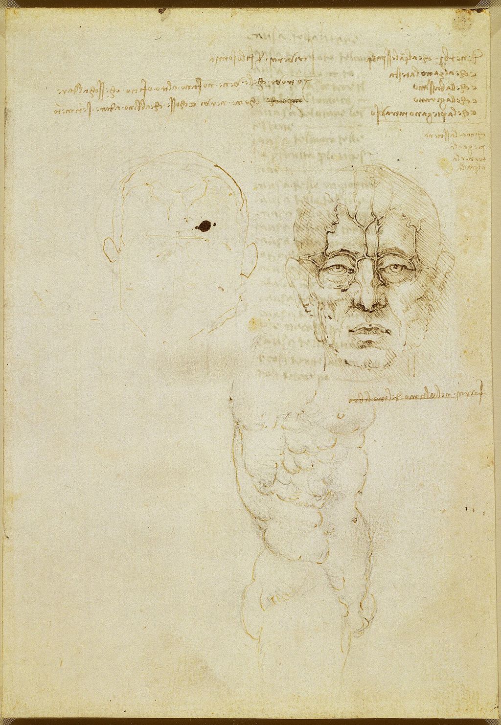 Veins of the face and a torso.