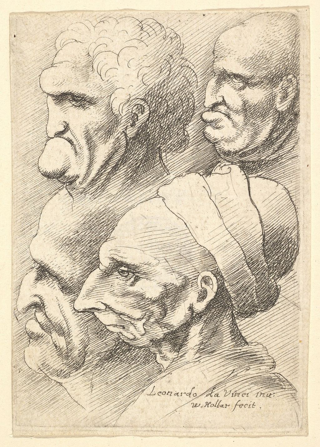 Hollar print of four grotesque heads after Leonardo.