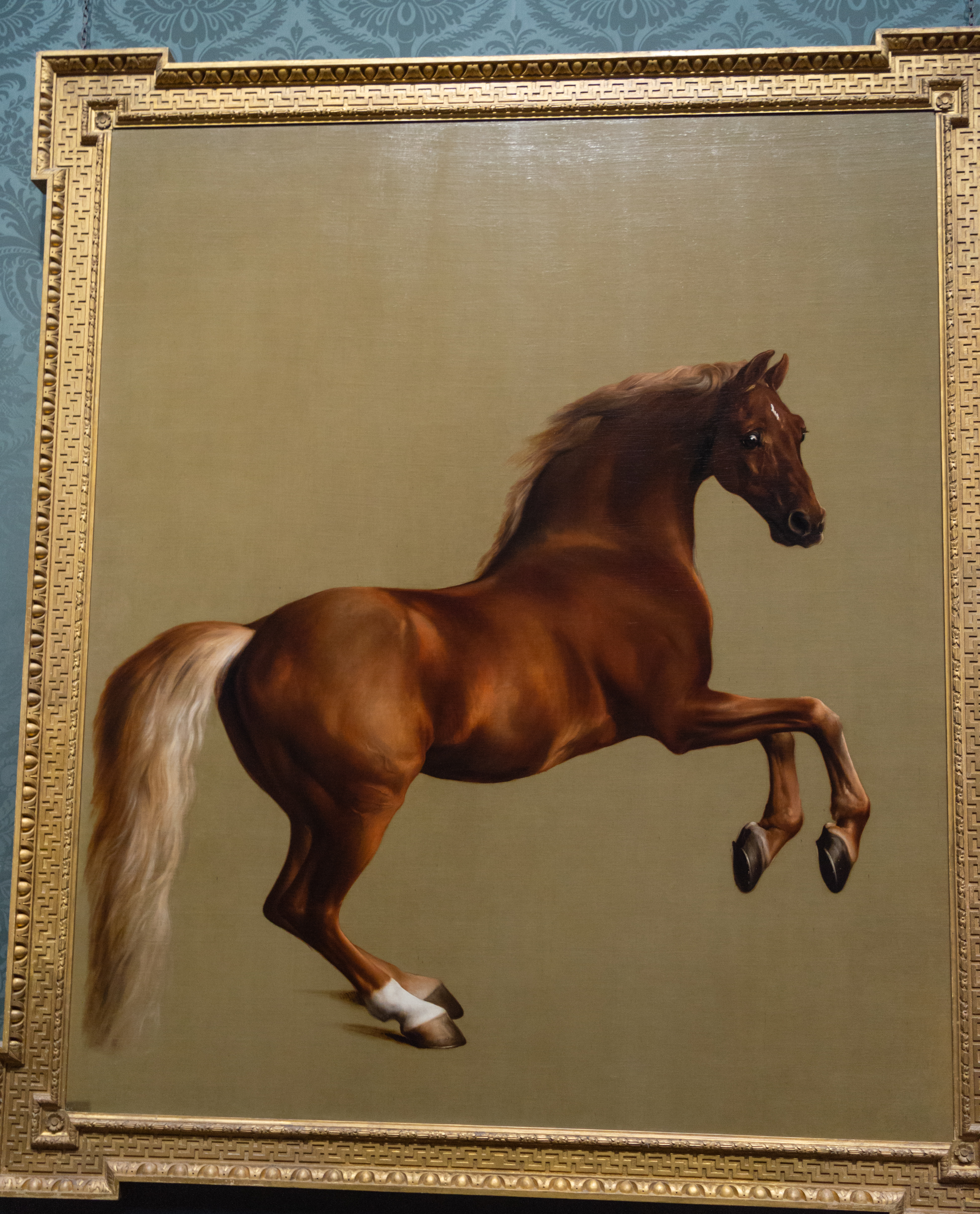 George Stubbs's Whistlejacket, a chestnut stallion rearing against a plain pale background.