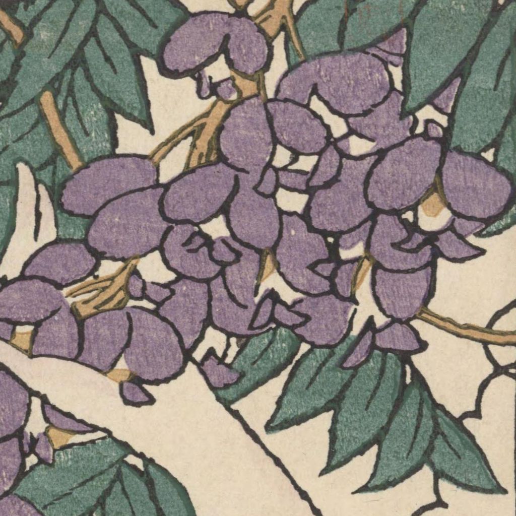 藤の花房