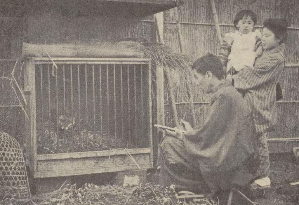Takeuchi Seihō; published March 1910, photograph date unknown
