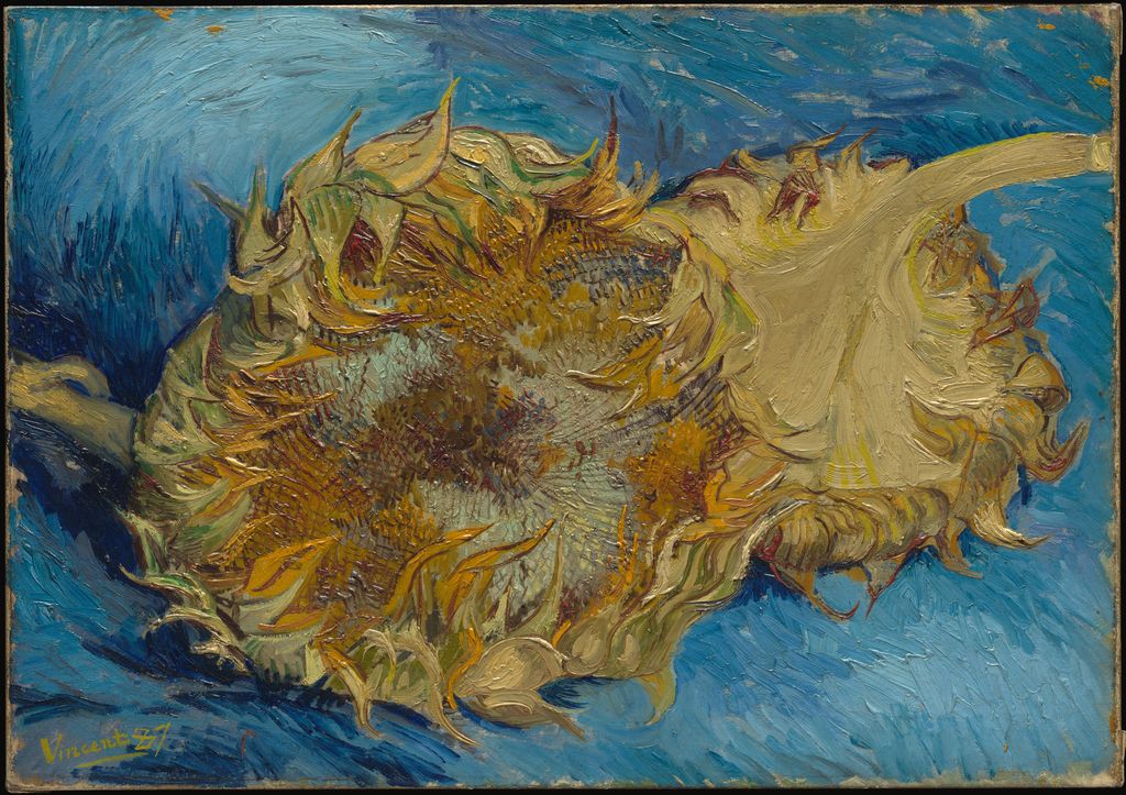 A cluster of cut sunflowers in yellow, orange, olive green and pale green lies against a broad textured blue ground.