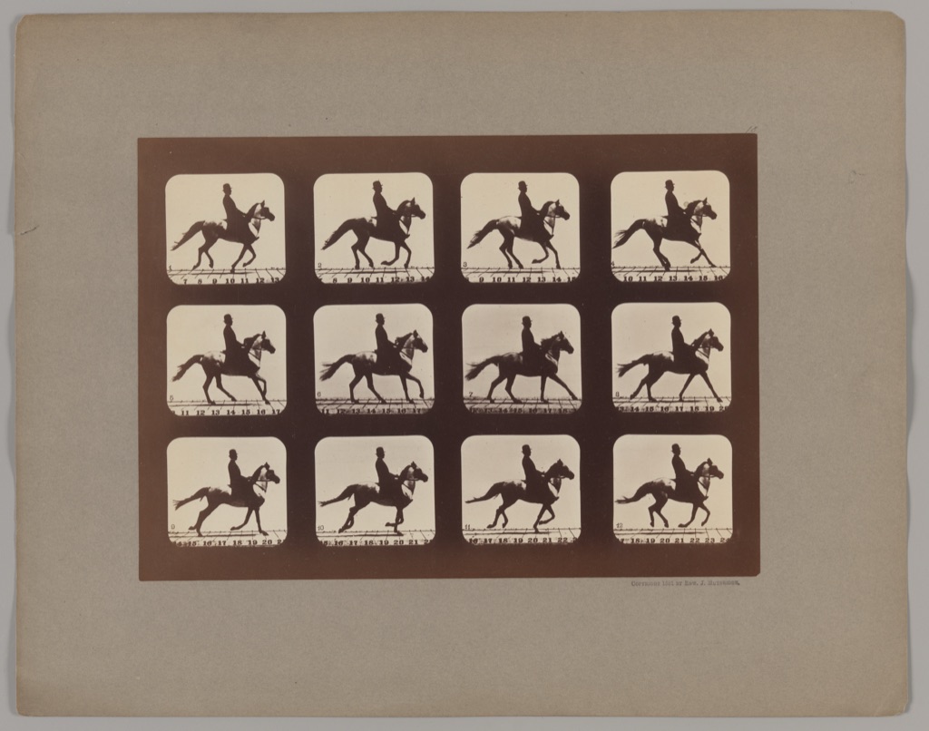 Muybridge sequence illustrating movement