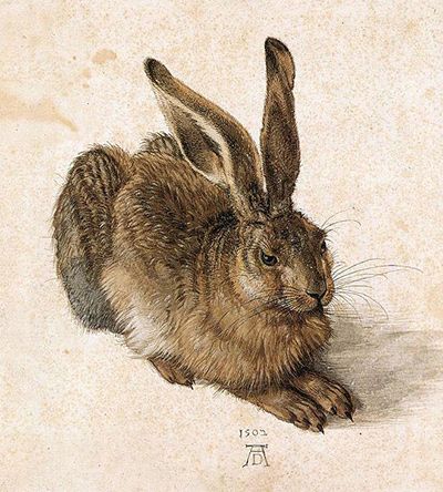 Dürer's Young Hare modelled in watercolour and bodycolour with finely varied hair strokes.