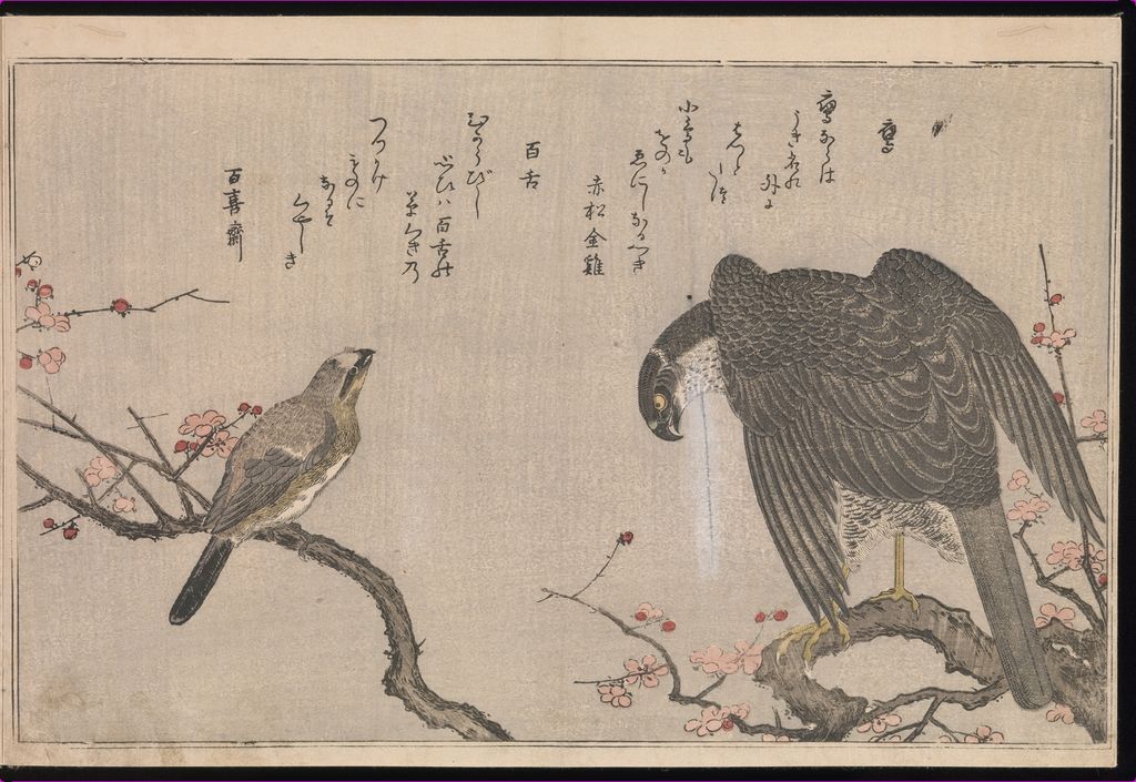 Large dark bird and small bird in Momo chidori kyōka-awase